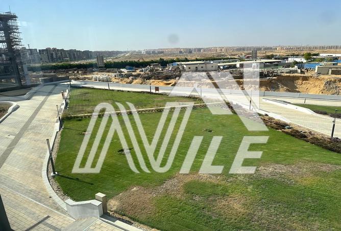 7971281 - صورة العقار 3