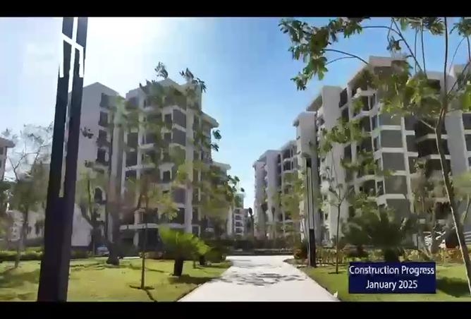 7994926 - Property Image 2