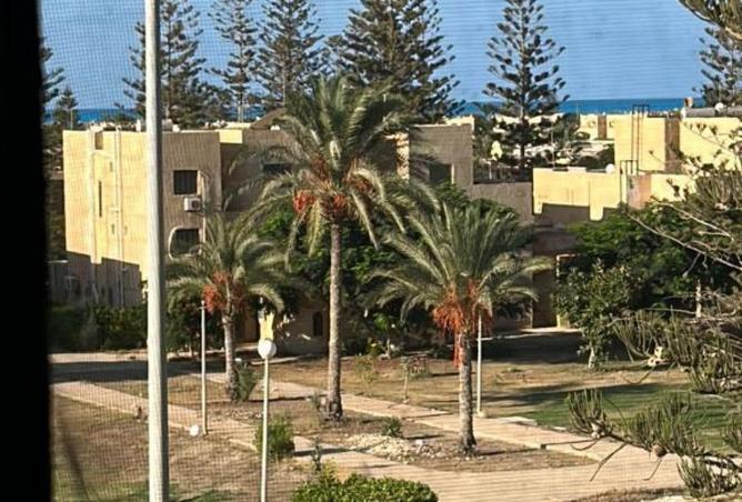 8497485 - صورة العقار 3