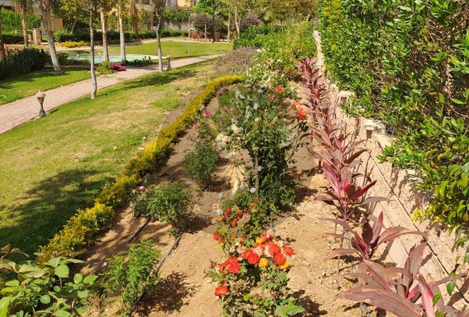 8163030 - صورة العقار 2