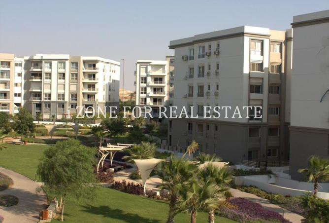 8478996 - Property Image 3