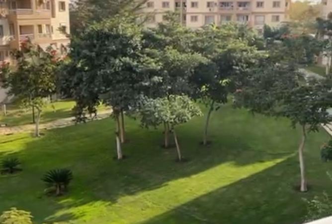 8405238 - Property Image 2