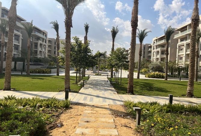 8152717 - صورة العقار 3