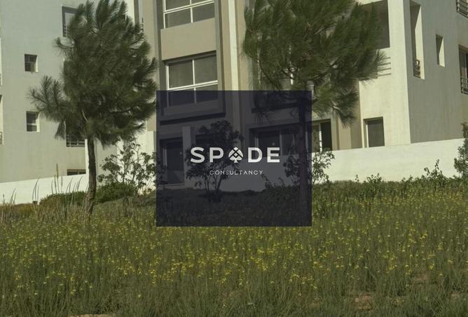 8477357 - الصورة الرئيسية للعقار