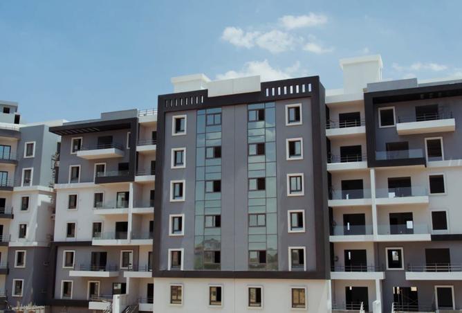 8196059 - Property Image 2