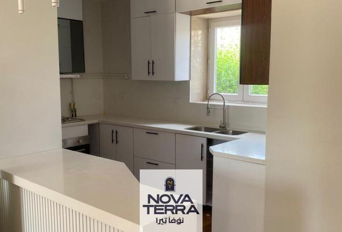 7966880 - Property Image 3