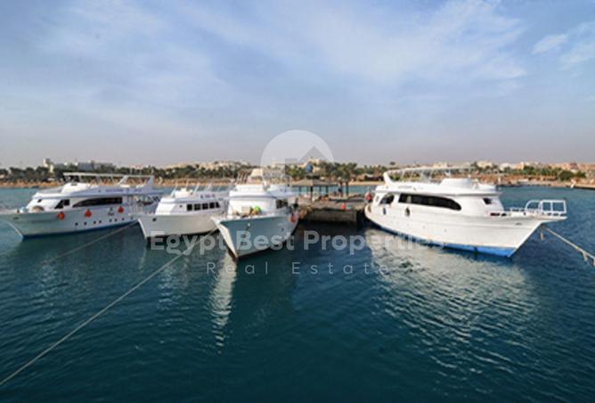 8019368 - صورة العقار 3