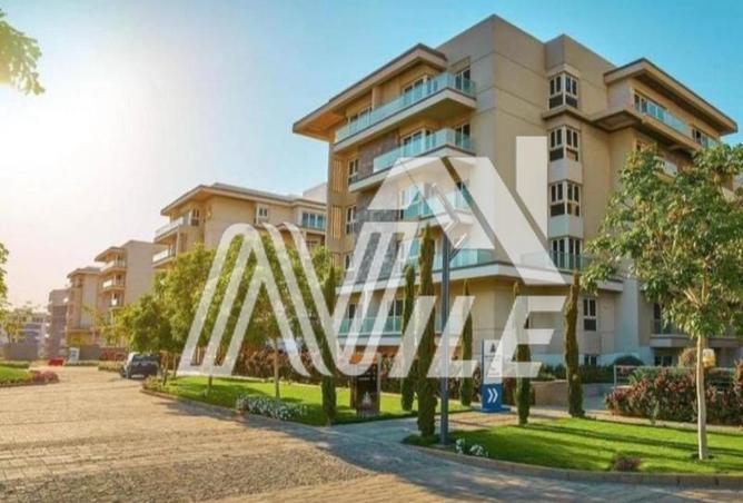 8326535 - Property Image 3