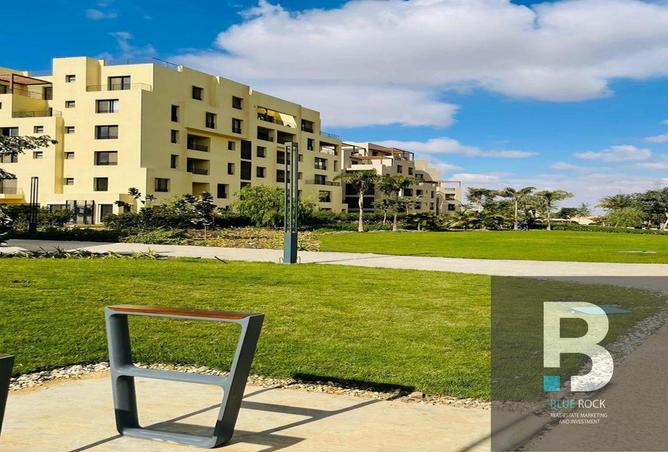 8292491 - صورة العقار 3