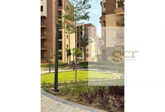 6916791 - الصورة الرئيسية للعقار