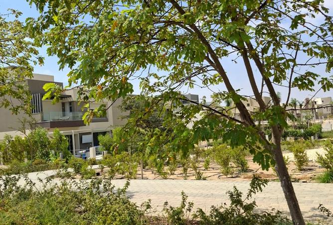 8511991 - Property Image 3