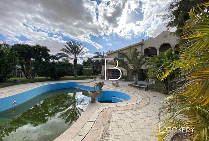 8240374 - صورة العقار 3