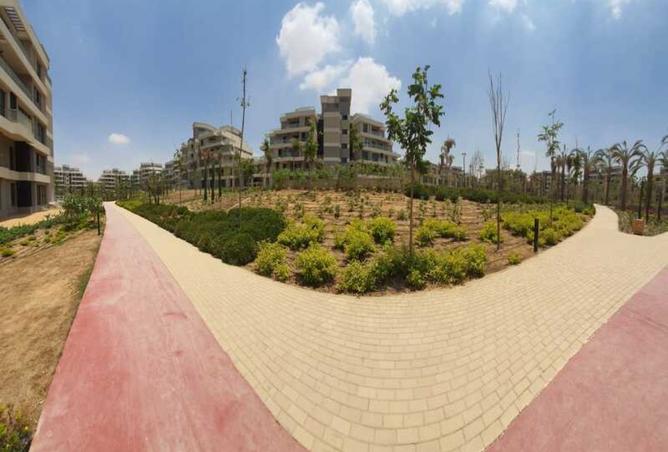 7916568 - صورة العقار 3