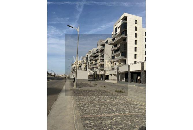 8332057 - Property Image 2