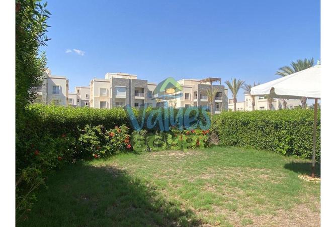 8368782 - الصورة الرئيسية للعقار