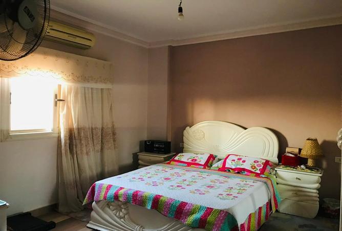 8431322 - Property Image 2