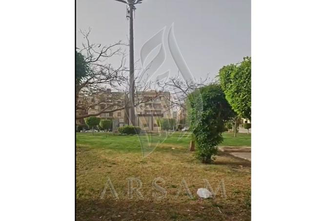 8293493 - Property Image 3