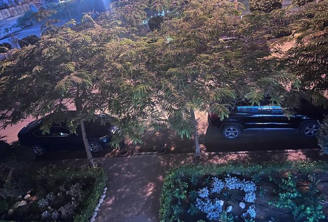 8272697 - صورة العقار 2