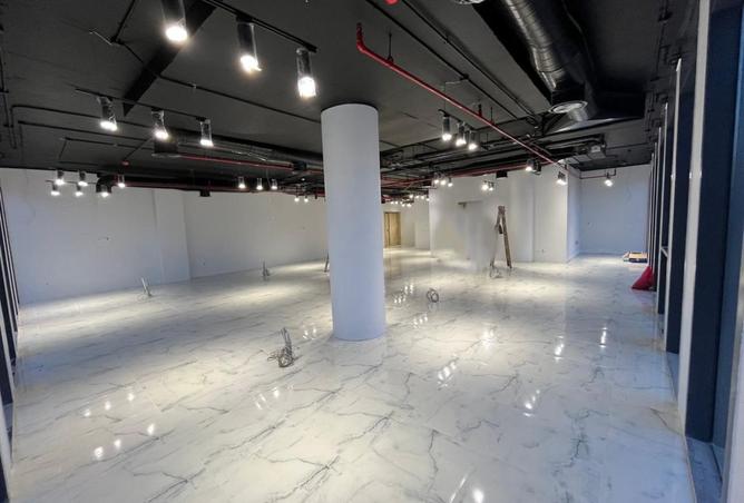 8080059 - Property Image 3