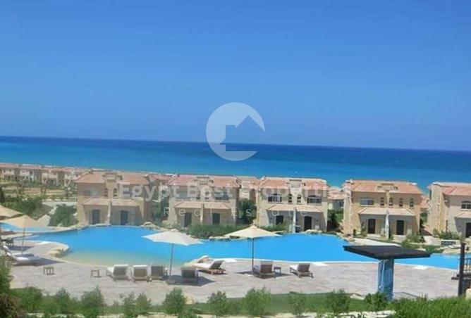 8299539 - Property Image 2