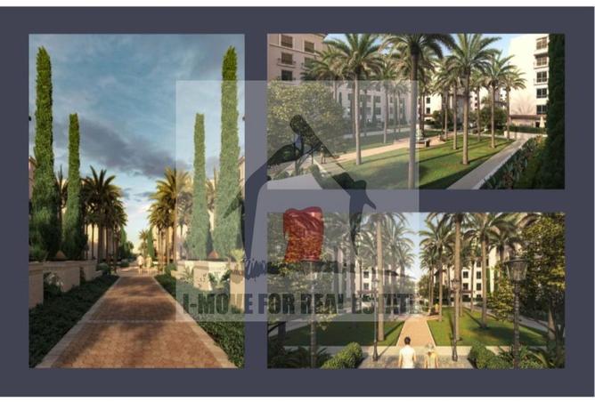 8251695 - Property Image 3