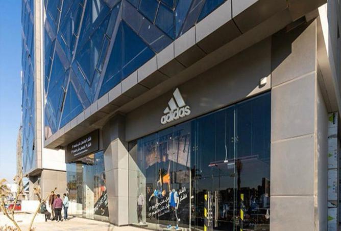 8434141 - Property Image 3