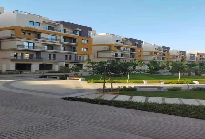 7933901 - صورة العقار 3