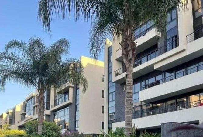 8318819 - Property Image 2