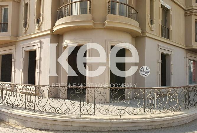 8386881 - Property Image 3