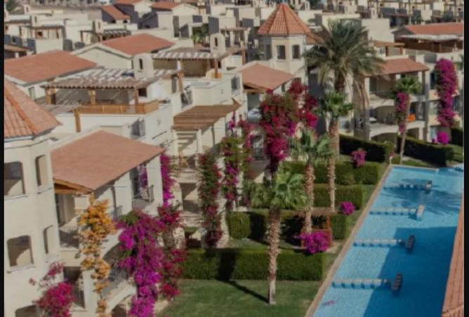 8256079 - صورة العقار 3