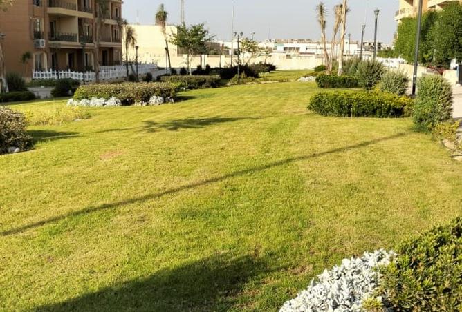 8408977 - الصورة الرئيسية للعقار