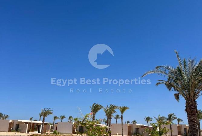 8096023 - Property Image 3
