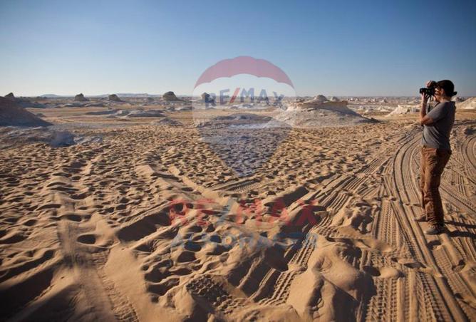 8478914 - صورة العقار 3