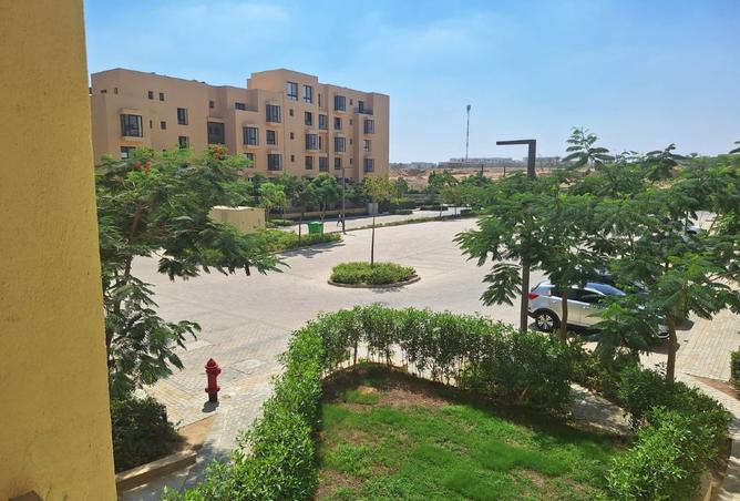 7887717 - صورة العقار 3