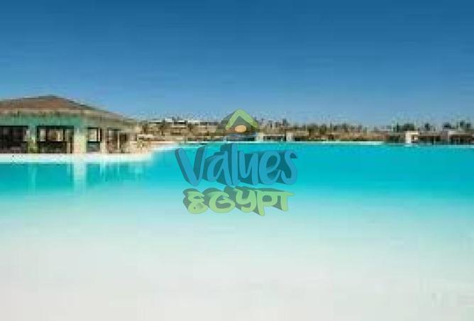 8195265 - Property Image 3