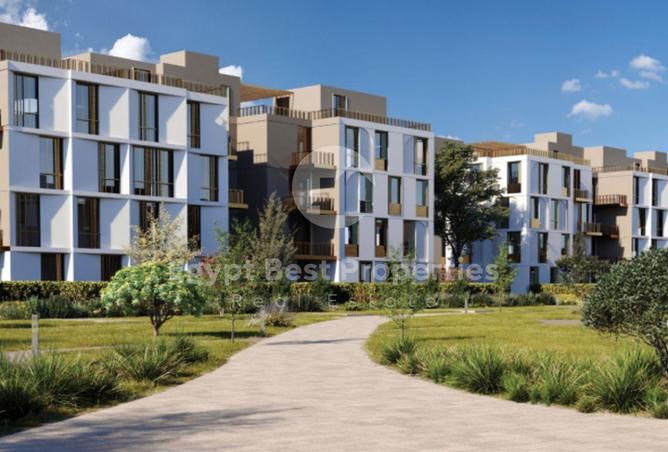 8034206 - Property Main Image
