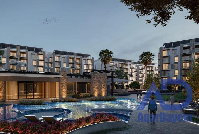 8450158 - Property Image 3