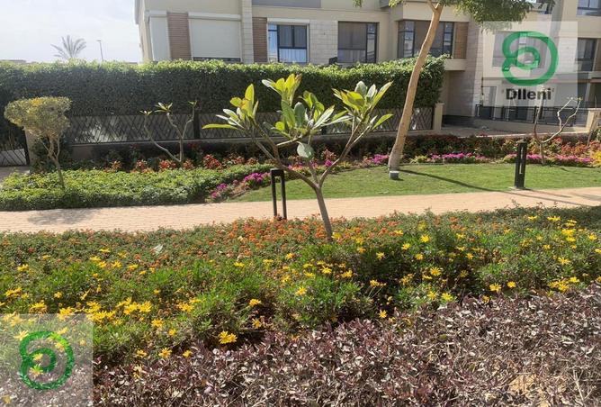 7907455 - صورة العقار 2