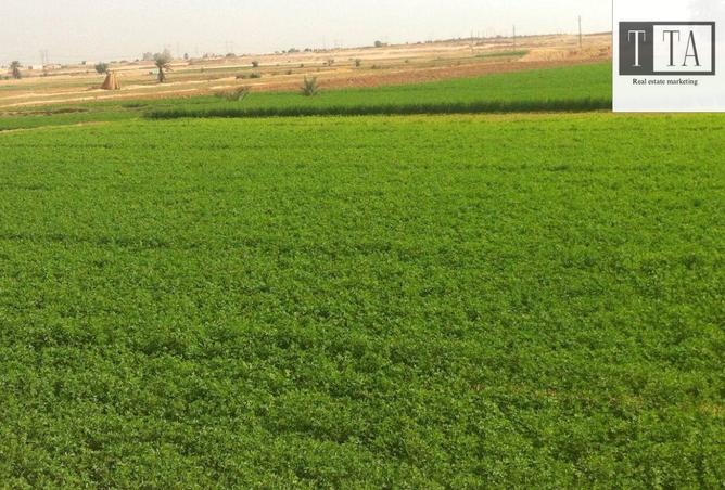 8204854 - صورة العقار 3