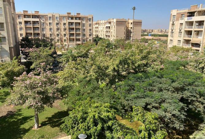 7943714 - صورة العقار 3