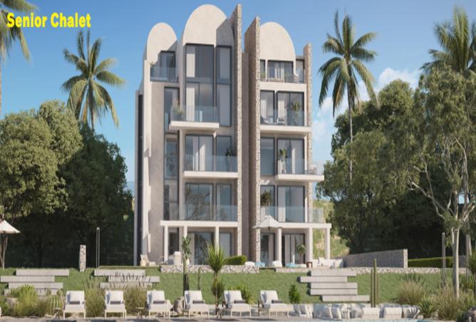 7984993 - Property Image 3