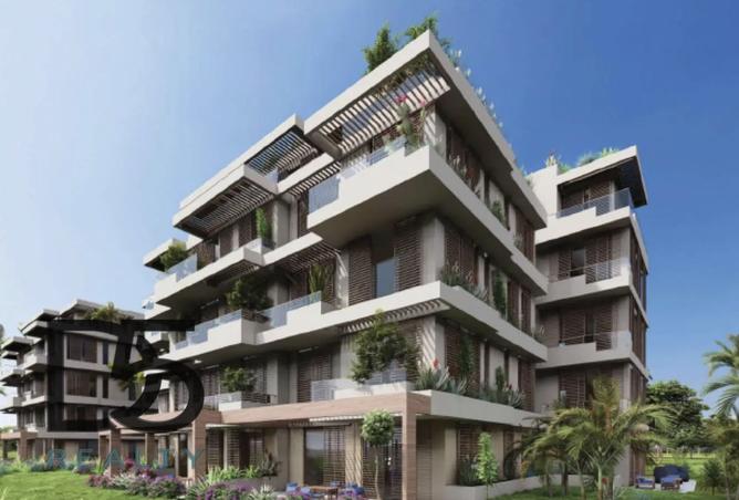 7977161 - Property Image 3