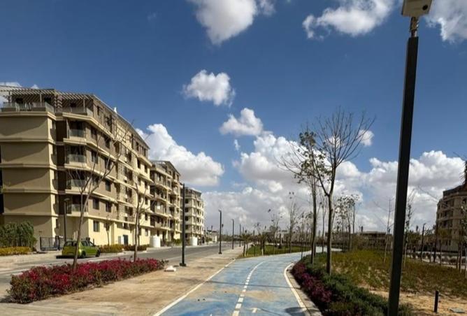 8206737 - Property Image 3