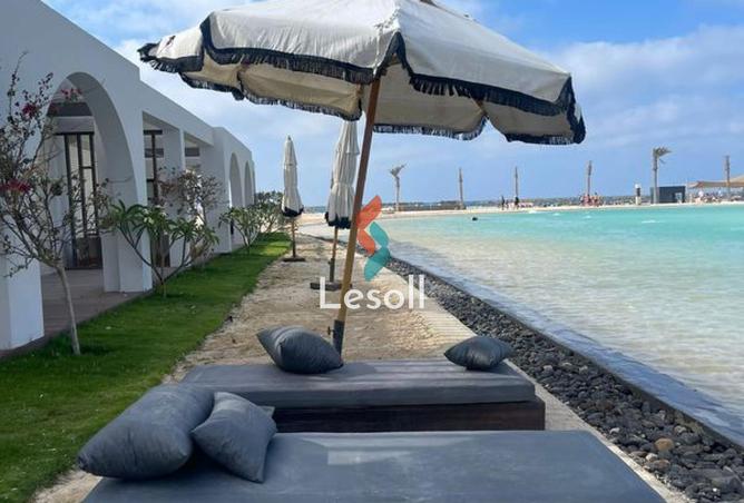 8280589 - الصورة الرئيسية للعقار