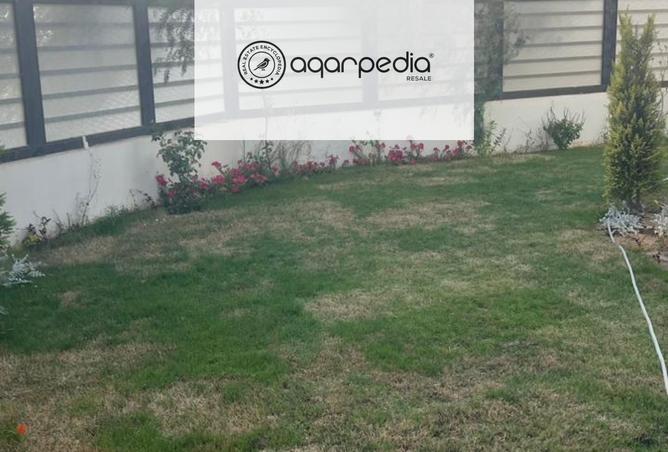 8171741 - صورة العقار 3