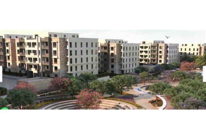 7994270 - Property Image 2
