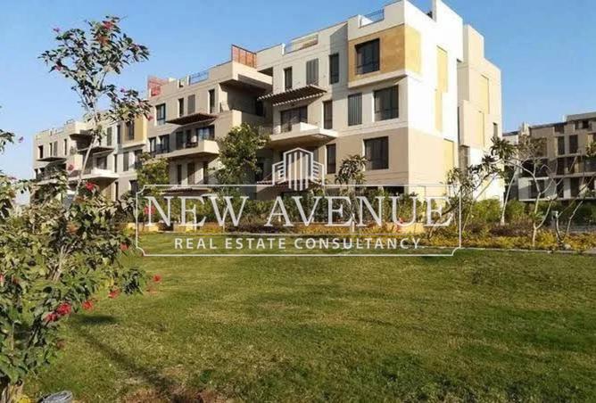 7914128 - Property Image 3
