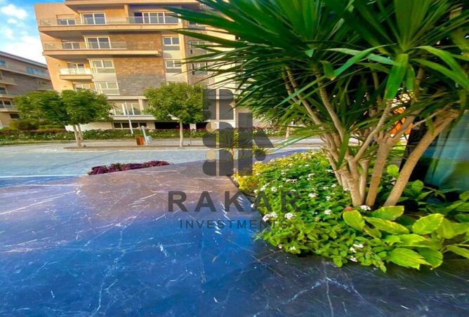 8241949 - Property Image 2