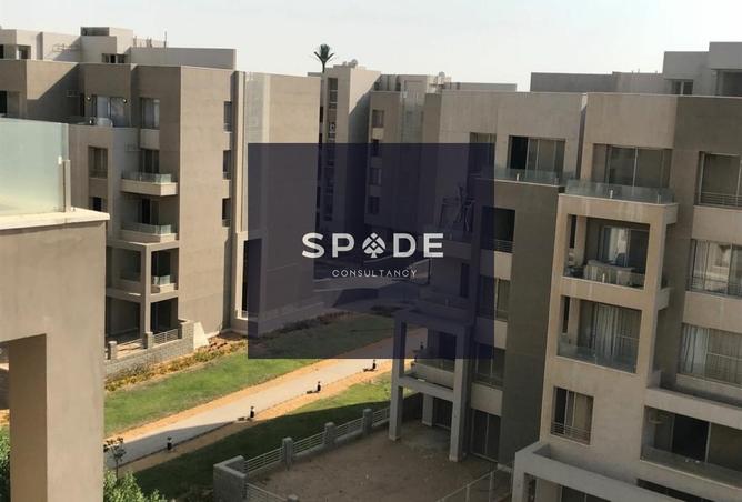 7941410 - Property Image 3