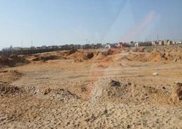 Land for للبيع in Badr   Robeiki   Al Asher Road - Industrial Area 10th Ramadan - 10th of Ramadan City - Sharqia